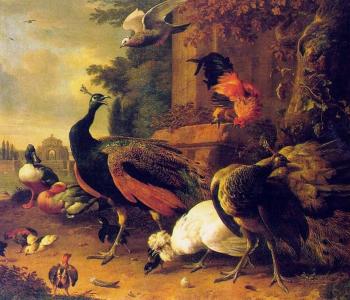 Melchior De Hondecoeter : Birds